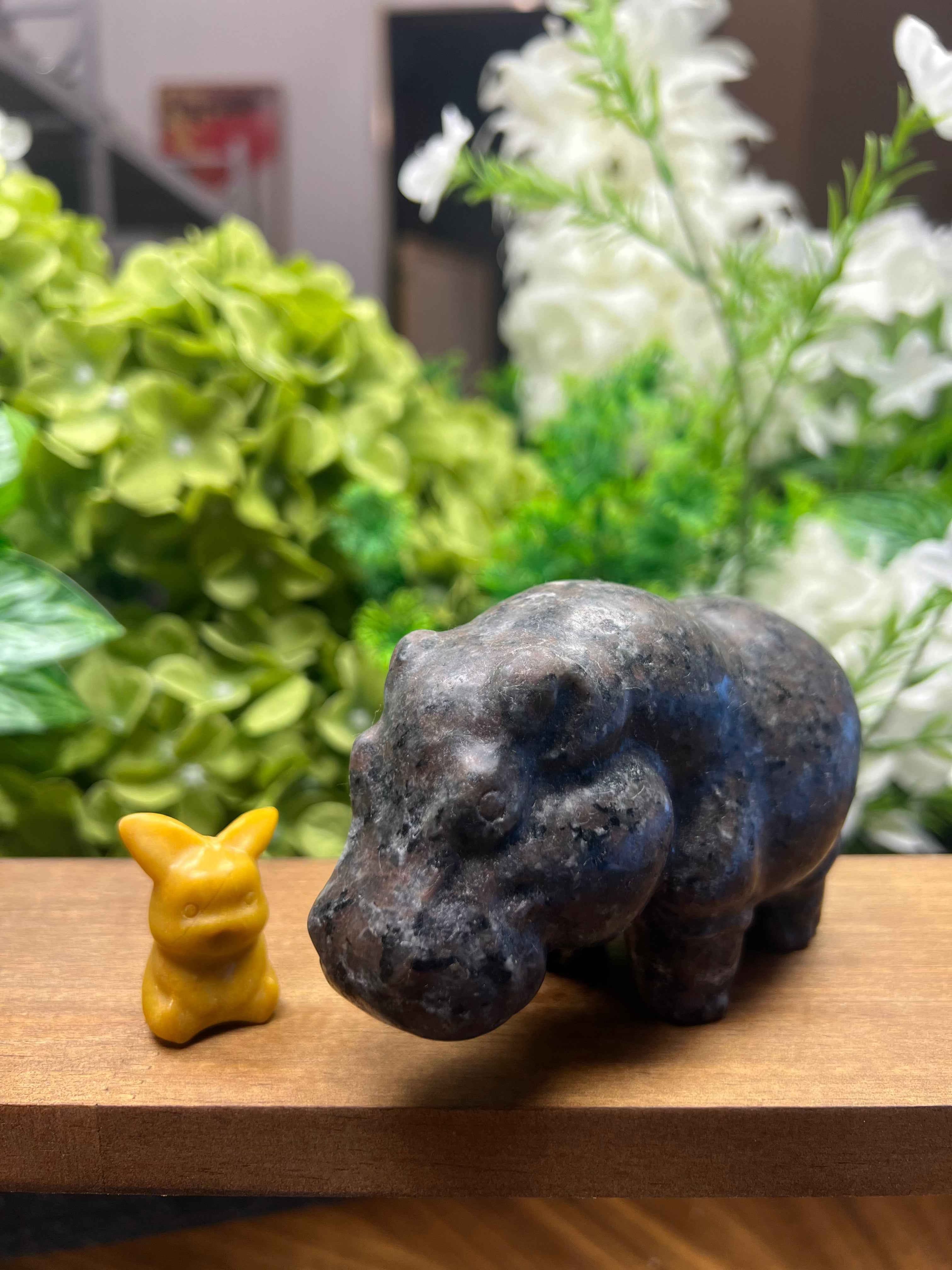 Enchant Your Space with the Unique Yooperlite Hippo Carving - Medium Size