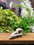 Raven Skull Picture Jasper Carving (Small, 3.22*1.46*1.29, 0.20lb)