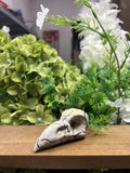 Small Raven Skull Picture Jasper Carving – Natural Stone Sculpture, Gothic Decor