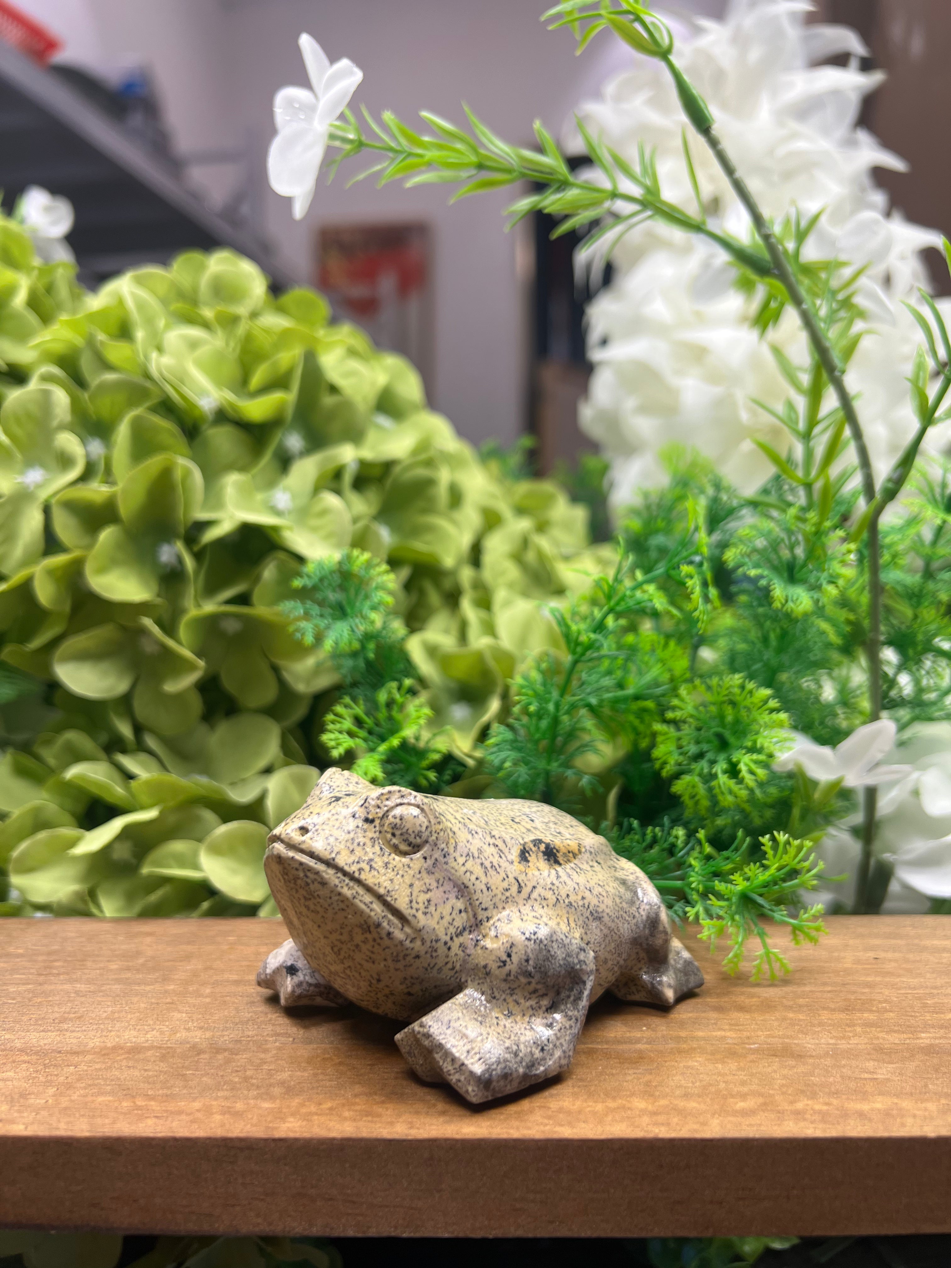 Frog Picture Jasper Carving (Small, 2.53*2.98*1.83, 0.545lb)