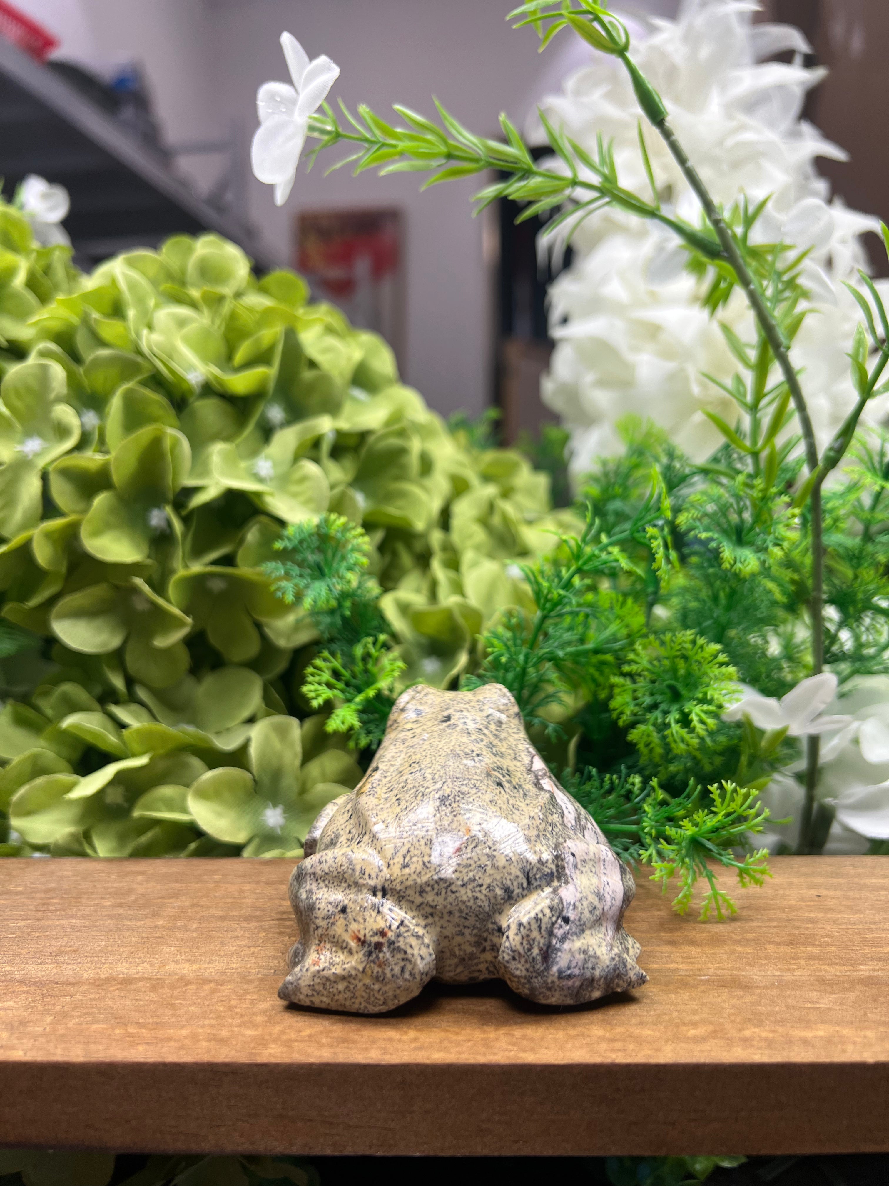 Frog Picture Jasper Carving (Small, 2.53*2.98*1.83, 0.545lb)