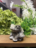 Small Mr. Toad Picture Jasper Carving – Natural Stone Sculpture